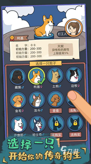 盘点 2025经典的小狗的游戏大全开元棋牌受欢迎的狗喜欢玩的十种游戏(图3)