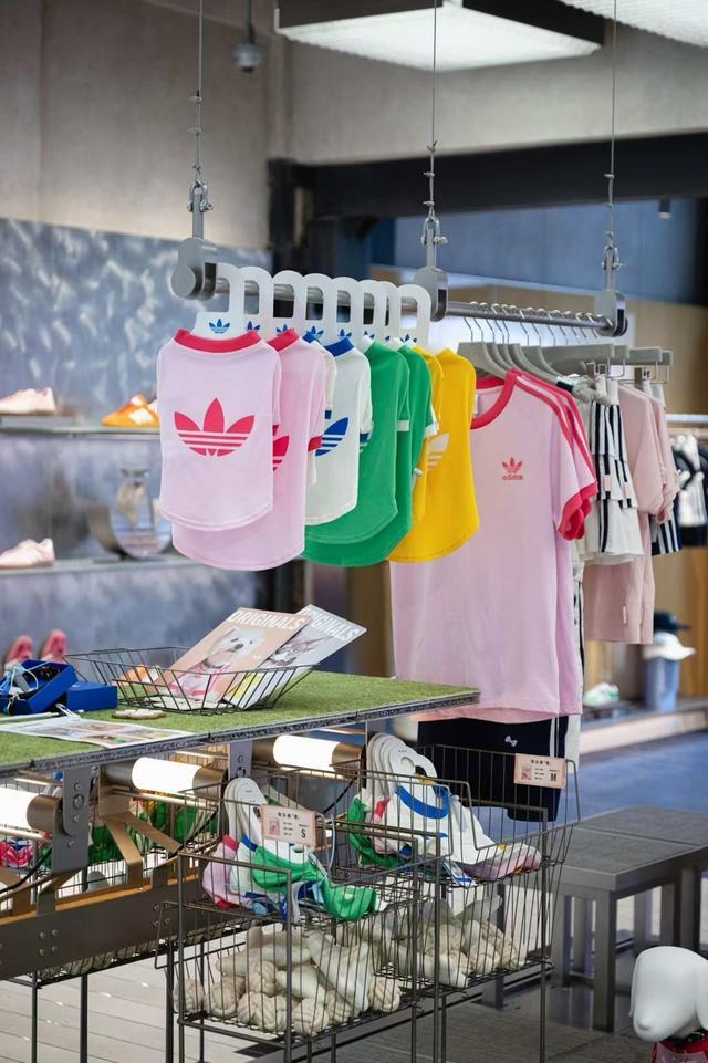 首店层出不穷上海“它经济”进入爆发期开元棋牌亚洲宠物展刷新纪录全球首发、