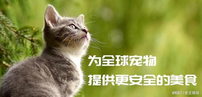 匠心品质引领宠物食品新风尚开元棋牌app汉欧宠物：(图3)